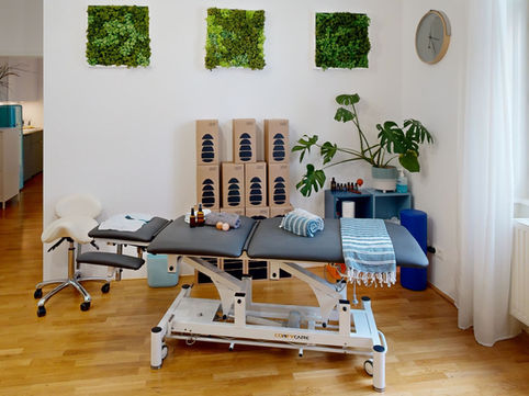 Professionelle Behandlungsliege Praxis Guzy